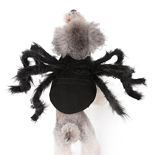 Huachaoxiang Ropa De Mascotas, Traje De Mascota De La Araña Cosplay para El Perro De Gato, rol De Murciélago De Araña Jugando Ropa De Vestir para Fiesta De Navidad De Fiesta,Negro,S