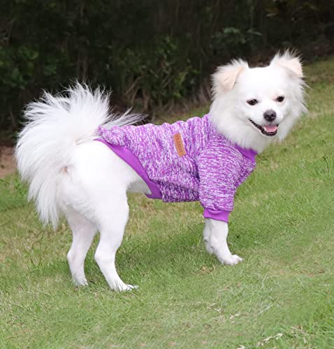 HuaLiSiJi Ropa para Yorkshire Ropa Chihuahua, Jerséis para Perros, Elástico Cómodo y Caliente (XX-Large, Morado)