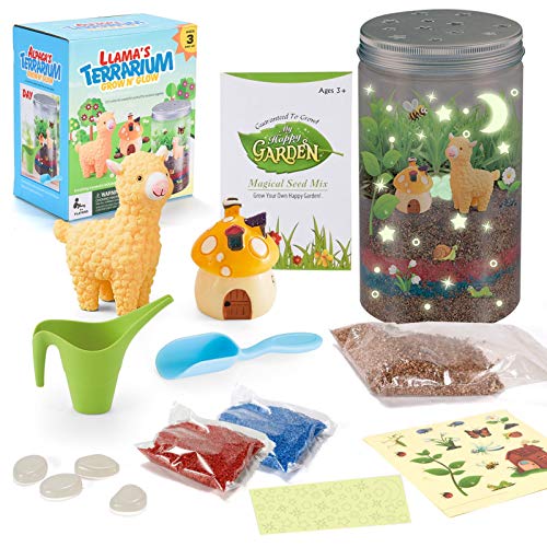 Huaxingda Terrario Kit Para Niños Con Luz LED En La Tapa - Kit Terrario Magia Educativa DIY Juguete Conjunto Con Luz Para Niños - Juguetes Niños