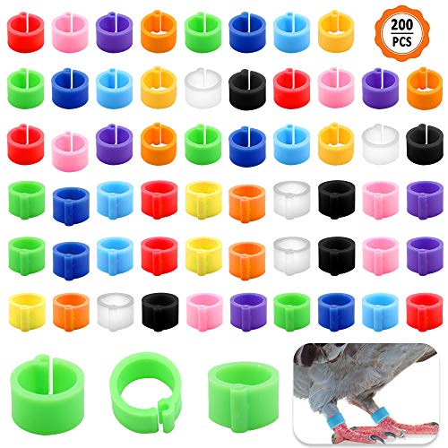 Huayue 200pcs Anillo de Identificación, Anillos para Pollos Banda para Palomas, Anillos de Pierna de Ave Anillas para Aves para Paloma Pollo Bantam Dove Aves Pequeñas (Color Mezclado)