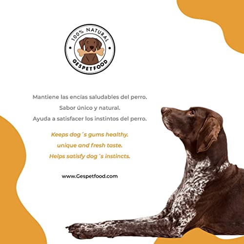 Hueso para Perros - Pack 8 Uds. - Codillo de Cerdo para Perros con Sabor Único - Mordedor para Perros - Mantiene Las Encías Saludables - 100% Natural - Fabricado en España - GESPETFOOD