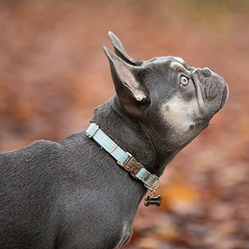 Hugo & Hudson Collar de Perro con Hebilla de Metal Tweed a Cuadros, pequeño, Aguamarina