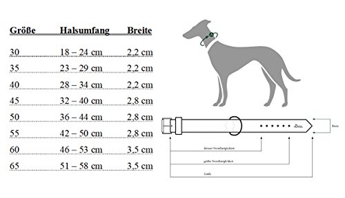 HUNTER Collar Softie