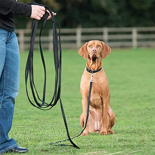 Hwtcjx Correa Larga Perro, Correa adiestramiento Perro, Correa de Perro, Cuerda de tracción PP de 3 Metros de Largo, Mango de Espuma, Adecuado para Mascotas de Varios tamaños (Negro, 1 Pieza)