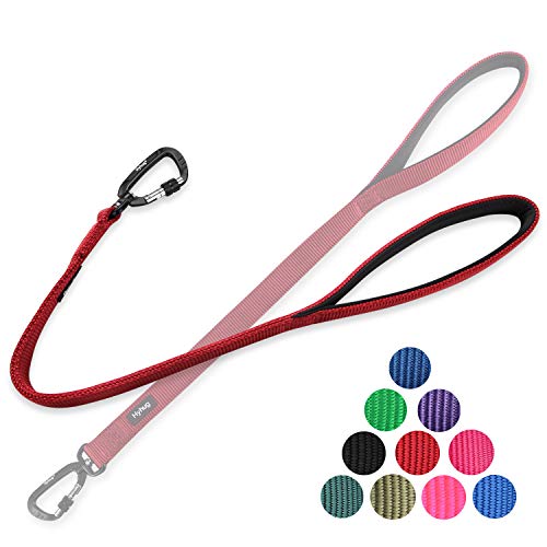 Hyhug Correa Corta Resistente de 61 cm de Longitud con asa cómoda y Correa de Aluminio de aviación Ligera para Perros Grandes y medianos. (Rojo)