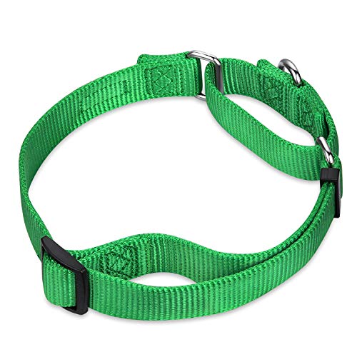 Hyhug Premium actualizado Cuello de Perro Martingale antivaho de Nylon Resistente para Perros Grandes, pequeños, medianos, pequeños y pequeños (Medio M, Lime Verde)