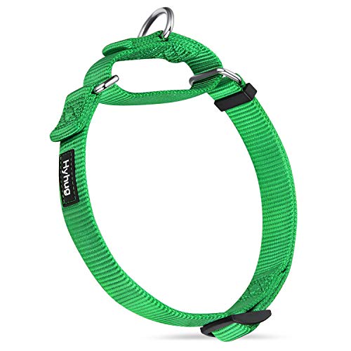 Hyhug Premium actualizado Cuello de Perro Martingale antivaho de Nylon Resistente para Perros Grandes, pequeños, medianos, pequeños y pequeños (Medio M, Lime Verde)