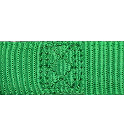 Hyhug Premium actualizado Cuello de Perro Martingale antivaho de Nylon Resistente para Perros Grandes, pequeños, medianos, pequeños y pequeños (Medio M, Lime Verde)