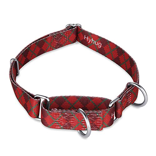 Hyhug Robusto Collar de martingala antivala para Perros Grandes. Uso Diario. Caminata Doble Anillo. Coloque Etiquetas de identificación/Collar de martingala/Collar clásico (Grande L, Rojo Sueter)