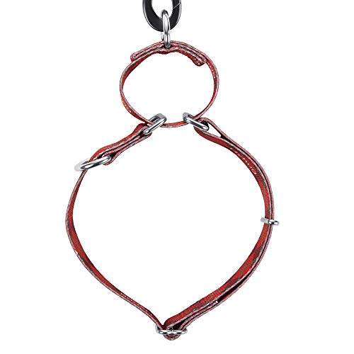 Hyhug Robusto Collar de martingala antivala para Perros Grandes. Uso Diario. Caminata Doble Anillo. Coloque Etiquetas de identificación/Collar de martingala/Collar clásico (Grande L, Rojo Sueter)