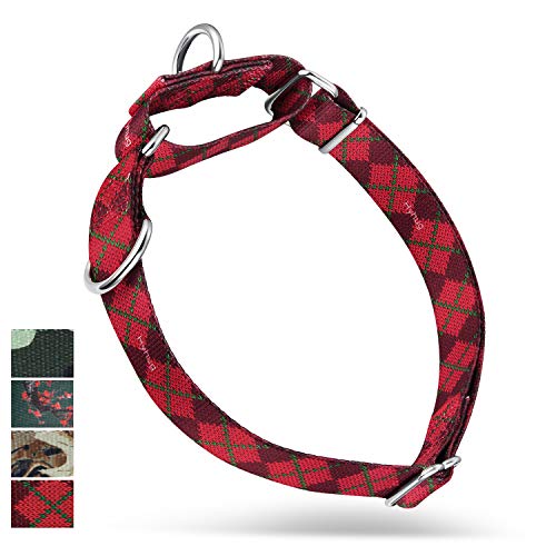 Hyhug Robusto Collar de martingala antivala para Perros Grandes. Uso Diario. Caminata Doble Anillo. Coloque Etiquetas de identificación/Collar de martingala/Collar clásico (Grande L, Rojo Sueter)