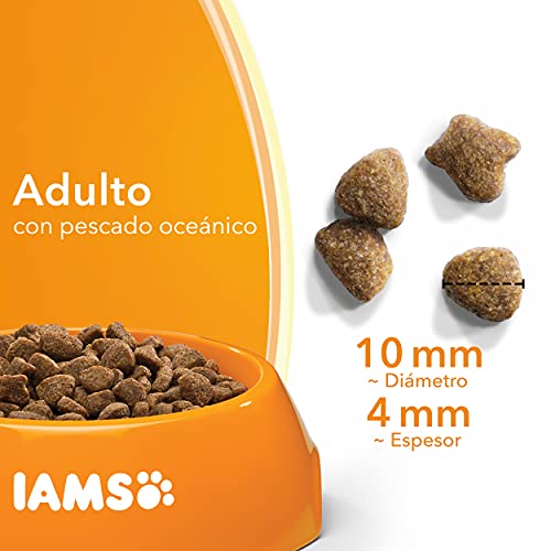 IAMS for Vitality Alimento seco para gatos adultos con pescado oceánico (1-6 años), 10 kg