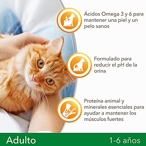 IAMS for Vitality Alimento seco para gatos adultos con pescado oceánico (1-6 años), 10 kg