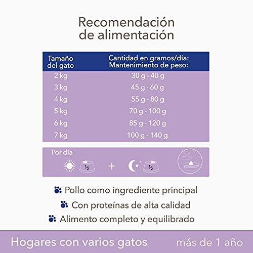 IAMS ProActive Health Comida para gatos adultos y senior, para hogares con varios gatos, con salmón y pollo, 15 kg