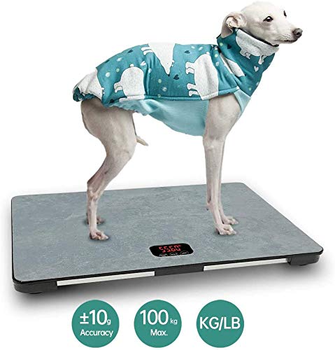 iBaby-Fish Balanza digital grande para perros grandes, capacidad de 100 kg (± 10 g), tutton táctil, KG / LB / LB: OZ conmutable