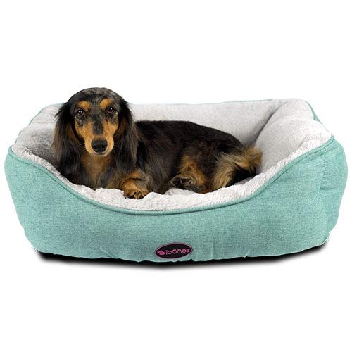 IBAÑEZ Cama Turquesa para Perros Y Gatos Pequeño: 48 x 41 x (alt.) 16 cm