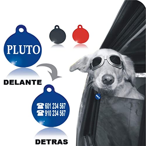 Iberiagifts - Placa de identificación Redonda para Mascotas Medianas-Grandes Chapa Medalla de identificación Personalizada para Collar Perro Gato Mascota grabada (Fucsia)