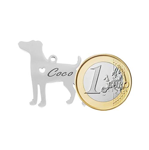 Iberiagifts - Placa identificación de Acero Inoxidable en Forma de Beagle. para Mascotas pequeñas a Medianas. Chapa Medalla de identificación Personalizada Collar Perro Gato grabada