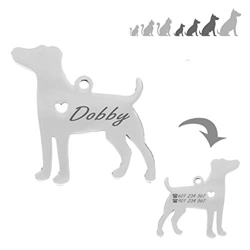 Iberiagifts - Placa identificación de Acero Inoxidable en Forma de Beagle. para Mascotas pequeñas a Medianas. Chapa Medalla de identificación Personalizada Collar Perro Gato grabada