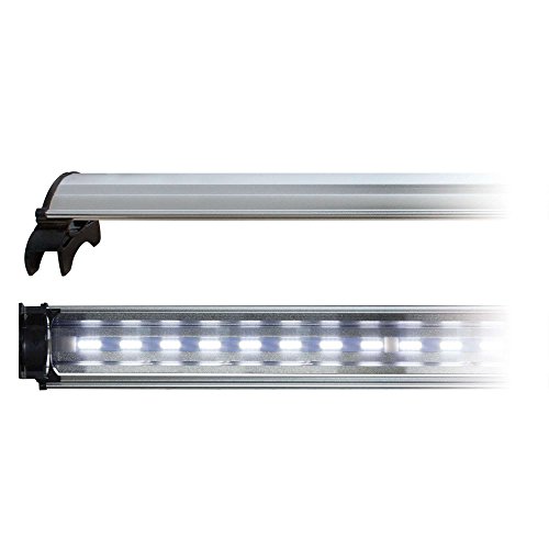 ICA CLD100S Lámpara COB Led con Luz Blanca