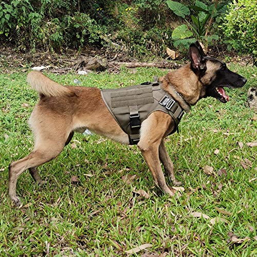 ICEFANG Arnés táctico para Perro Grande, Militar K9 Chaleco Molle de Trabajo, sin Clip Frontal, Hebilla de Metal fácil de Poner y Quitar (L (Circunferencia de 28 a 35 Pulgadas), Hebilla de Metal RG-)