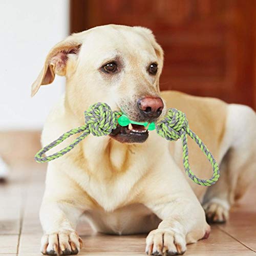 Ichiias Dog Chew Toy Big Pet Ball Puppy Chew Knots Tug Rope Chewing Toy Juego Interactivo(Verde)