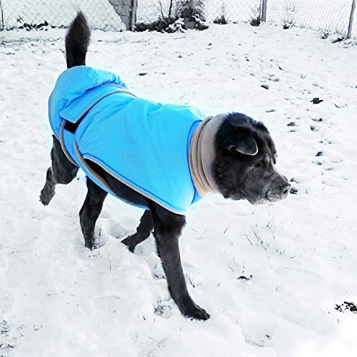 Idepet Abrigo de Invierno para Perros, Chaqueta para Perros, Chaleco para Perros a Prueba de Viento, Ropa con Cuello cálido, Sudadera con Capucha para Perros pequeños, medianos y Grandes