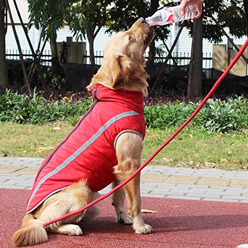 Idepet Abrigo Impermeable para Perros Chaqueta cálida de Invierno, Chaqueta para Perros a Prueba de Viento para Perros pequeños medianos Grandes con Orificio para el arnés XL-6XL