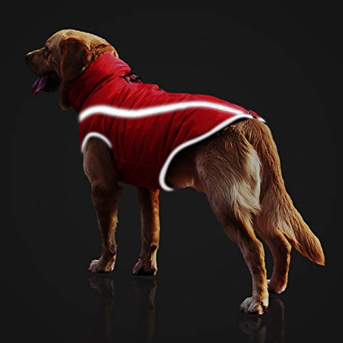 Idepet Abrigo Impermeable para Perros Chaqueta cálida de Invierno, Chaqueta para Perros a Prueba de Viento para Perros pequeños medianos Grandes con Orificio para el arnés XL-6XL