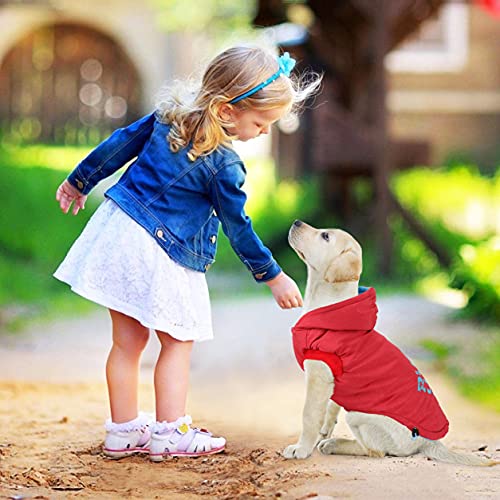 Idepet Abrigo Impermeable para Perros, Chaqueta cálida de Invierno para Mascotas, Chaleco, Algodón para Exteriores, Sudadera con Capucha para Perros, Ropa para Perros pequeños, medianos, Gatos