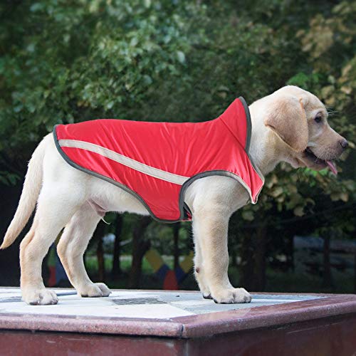 Idepet Abrigo Impermeable para Perros, Chaqueta cálida para Mascotas, Ropa a Prueba de Viento, Chaleco para Perros, Ropa para Mascotas, Traje con Capucha, con Orificio para el arnés