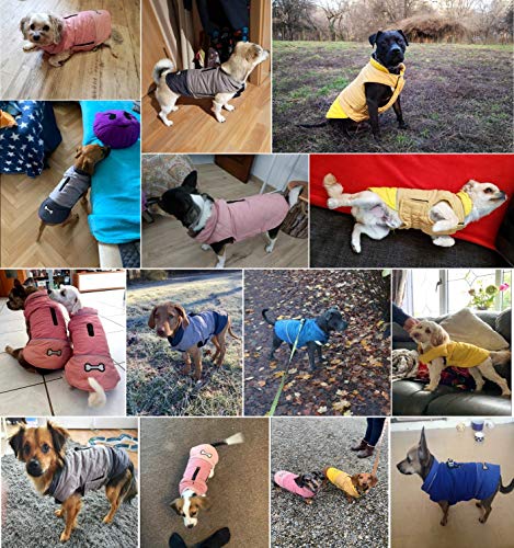 Idepet Abrigo para Perro A Prueba De Viento Chaqueta Cálida De Invierno, Ropa para Perros con Traje De Nieve Anti-Nieve para Perros Pequeños Medianos Grandes con Agujero De Arnés Azul Rosa Gris