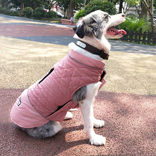 Idepet Abrigo para Perro A Prueba De Viento Chaqueta Cálida De Invierno, Ropa para Perros con Traje De Nieve Anti-Nieve para Perros Pequeños Medianos Grandes con Agujero De Arnés Azul Rosa Gris