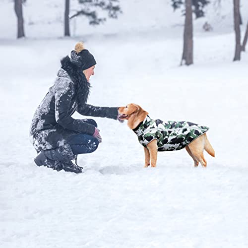 Idepet Chaqueta para Perros, Abrigos para Perros cálidos Chaquetas para Perros pequeñas, Medianas y Grandes Chaleco para Nieve a Prueba de Viento Ropa para Perros Traje con Orificio para arnés