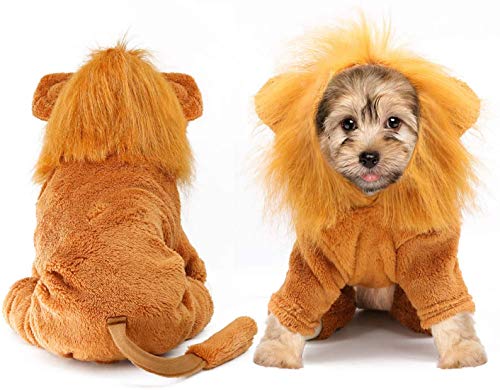 Idepet Disfraz de Mascota, Disfraz de Halloween para Perro, Disfraz de León, Cachorro, Navidad, Divertidos Disfraces de Cosplay, Gatos, Ropa Divertida