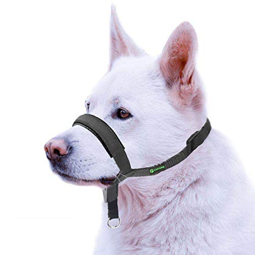 ILEPARK Correa de Adiestramiento para Perros de Piel Acolchado - Confortable al Tacto, el Collar para Perros Frena los Tirones y Deja de Tirar, Ajustable, Herramienta de Entrenamiento (L,Negro)