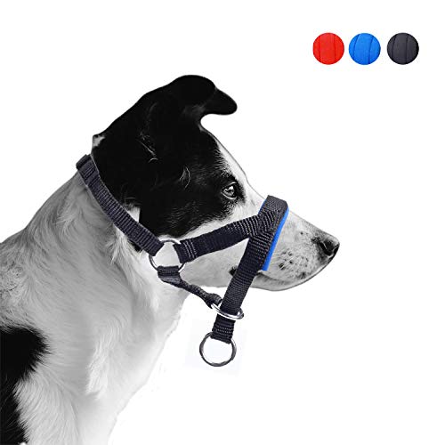 ILEPARK Cuello De Cabeza para Perros con Tela Acolchada, Cabestro de Cabeza para Perros, Regolabile Herramienta de Entrenamiento (L,Azul)