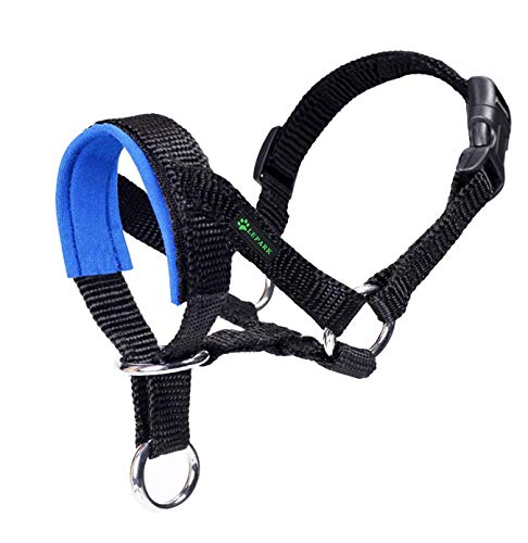 ILEPARK Cuello De Cabeza para Perros con Tela Acolchada, Cabestro de Cabeza para Perros, Regolabile Herramienta de Entrenamiento (L,Azul)