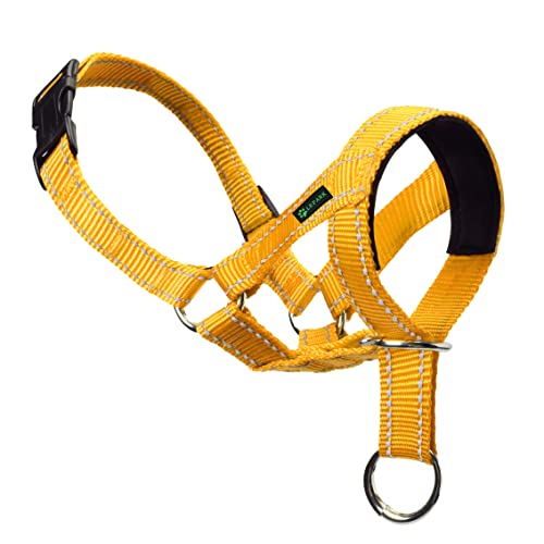 ILEPARK Cuello para Perros de Cabeza y Bozal de Adiestramiento Antitirones, de Colores, Ajustable y de Fácil Control para Entrenar a los Perros para Que Dejen de Tirar (L,Amarillo)