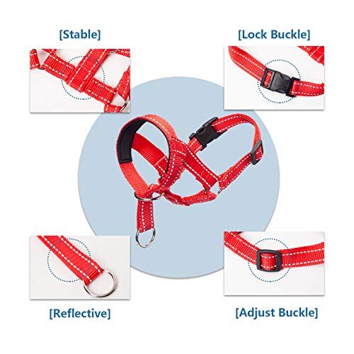 ILEPARK Cuello para Perros de Cabeza y Bozal de Adiestramiento Antitirones, de Colores, Ajustable y de Fácil Control para Entrenar a los Perros para Que Dejen de Tirar (M,Rojo)