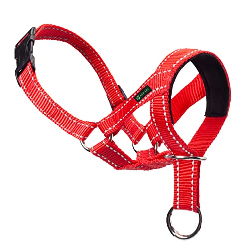 ILEPARK Cuello para Perros de Cabeza y Bozal de Adiestramiento Antitirones, de Colores, Ajustable y de Fácil Control para Entrenar a los Perros para Que Dejen de Tirar (M,Rojo)