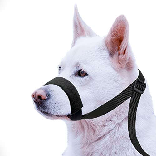 ILEPARK VCollar de Cabeza de Perro para Evitar Tirones Arnés de Cabeza de Perro con Almohadilla de Nariz Ajustable Herramienta de Adiestramiento (L, Negro)