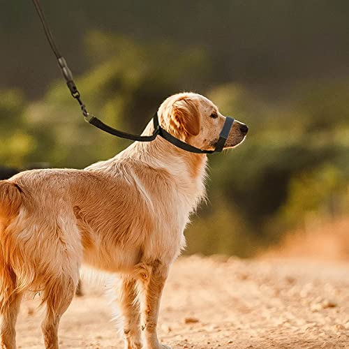 ILEPARK VCollar de Cabeza de Perro para Evitar Tirones Arnés de Cabeza de Perro con Almohadilla de Nariz Ajustable Herramienta de Adiestramiento (L, Negro)