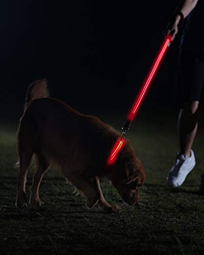 Illumiseen - Collar de Perro LED Recargable por USB, Disponible en 6 Colores y 6 tamaños