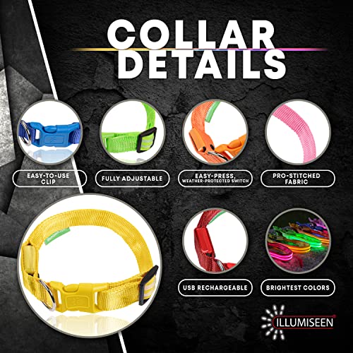 Illumiseen - Collar de Perro LED Recargable por USB, Disponible en 6 Colores y 6 tamaños