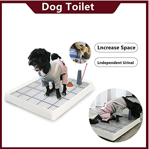 Inodoro para Perros 38.3x30.9x6.5cm Aseo Portátil Pet Inodoro Interior Potty Play Play Bandeja De Plástico Pequeño Perro Gato Caja De Arena Box Suministros para Mascotas Inodoro para Cachorros