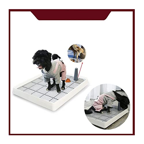 Inodoro para Perros 38.3x30.9x6.5cm Aseo Portátil Pet Inodoro Interior Potty Play Play Bandeja De Plástico Pequeño Perro Gato Caja De Arena Box Suministros para Mascotas Inodoro para Cachorros