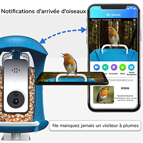 Intellectuales Comedero de pájaros, AI Recognition Identificación de pájaros (más de 10.000 especies), captura de imágenes de aves Cámara Nocturna de observación de pájaros, Base Lourde