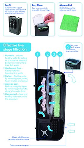 Interpet - Filtros de Repuesto CF1 para acuarios | Paquete de Mantenimiento de Tres Meses para el Filtro CF1 del Cartucho Interno