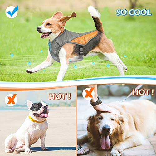 iplusmile Chaleco Fresco para Perros Abrigo de Refrigeración de Verano Ropa para Mascotas Chaqueta de Refrigeración Transpirable con Correas Laterales Ajustables para Perros (Naranja Talla